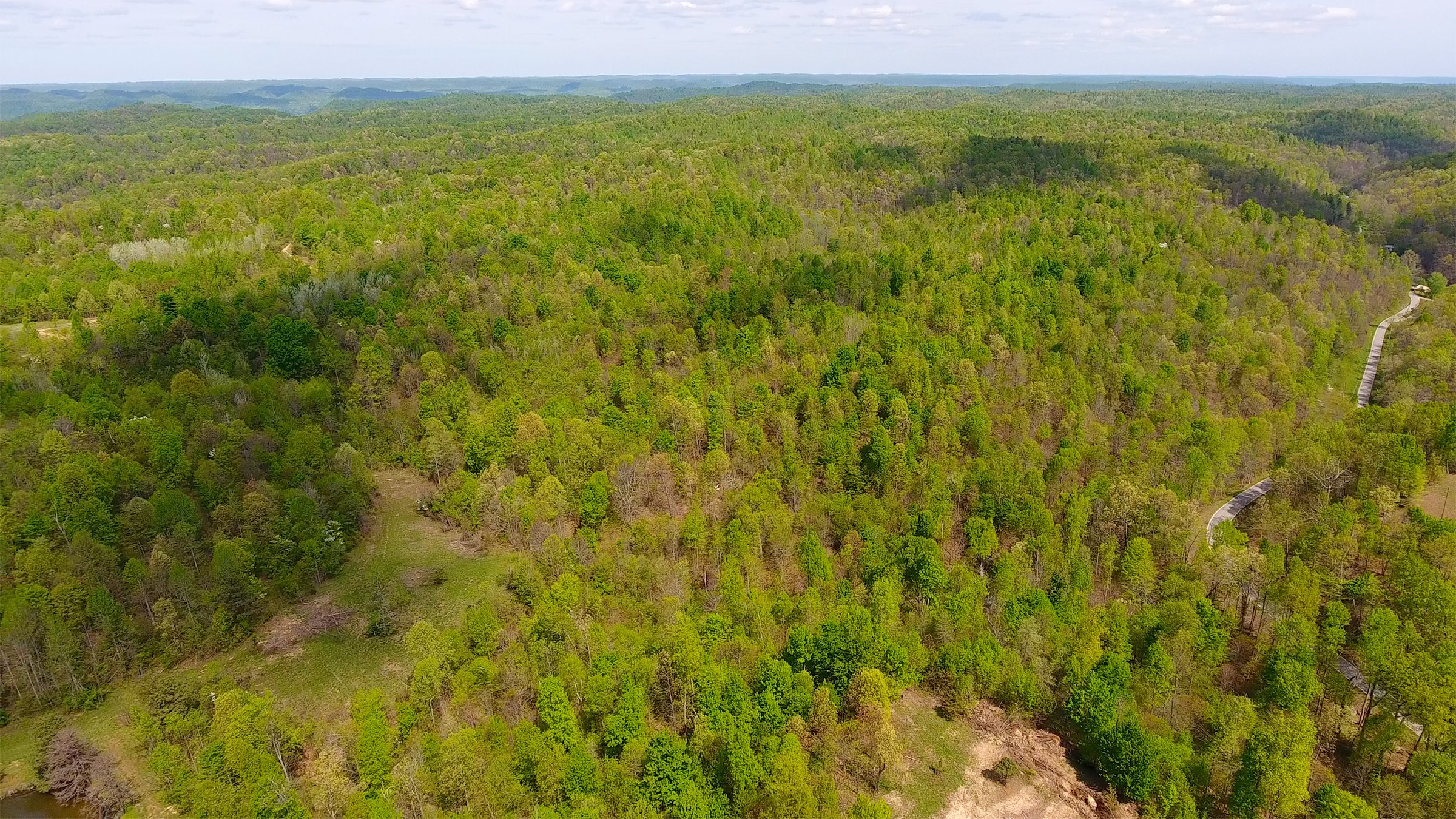 Property photo 8 - LAND AUCTION - 1,682+/- ACRES OFFERED IN 17 TRACTS IN LEWIS & GREENUP COUNTIES, KENTUCKY